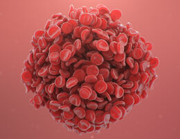 An enlarged illustration of a ball of blood cells forming a clot.