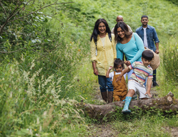 A family on a hiking trail helps kids climb over a log.